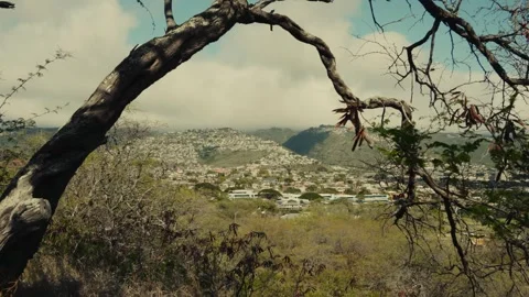 Static shot  though the tree branches of a town set in the mountains on Stock Footage 260872243