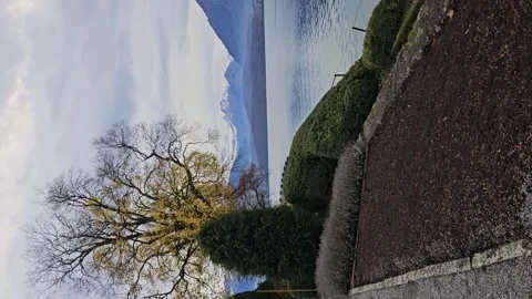 Static shot of Tree next to Swiss Lake with Mountains in Background during Fall Stock Footage 331790917