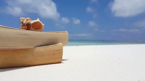 Static shot of two books with a shell on top sitting on an exotic beach in Stock Footage 118596929
