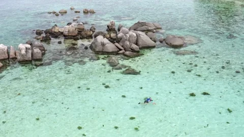 Static shot to unrecognizable people snorkeling in the ocean. Vidéo 132534338