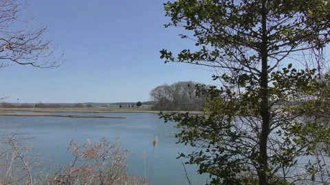 Static Shot of Water and Wind on Shelter Island, NY Stock Footage 188510072