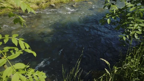 Static shot of water running in a mountain river Stock Footage 110929520