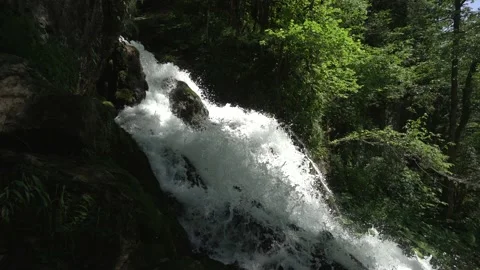 Static shot of waterfall in the forest. Green trees. Untouched nature. Stock Footage 134694464