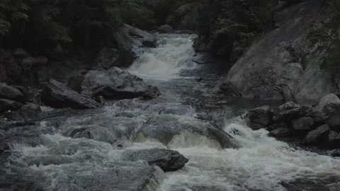 Static shot of waterfall rushing over rocks in forested area in early morning. Video stock 137274616