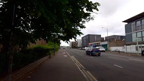 Static shot of wind blowing a tree on a city street while cars pass on the road Video stock 200213016