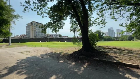 Static shot of wind blowing tree leaves at Intramuros golf course 4K Vídeos de archivo 337458686