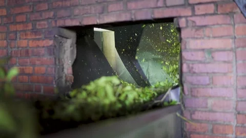 Static Shot of Yerba Mate Leaves Moving Along Conveyor Belt in Industrial Stock Footage 318276409