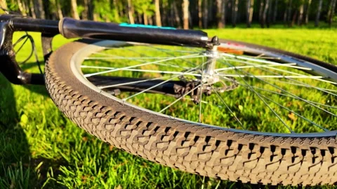 Static Slow-Mo: Spinning Wheel of Fallen Bicycle in Blurred Grass Stock Footage 308178315