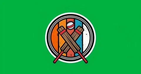 Static starting, textures spreading over cricket emblem highlighting logo on Stock Footage 317212794
