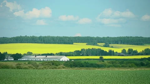 Static summer view of a countryside, house, farm, horizon, blue sky, clouds Stock Footage 134809801