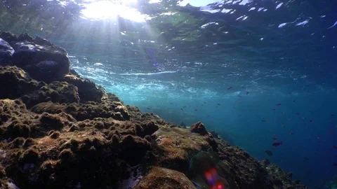Static Sunrays Underwater Ambience Stock Footage 80408421