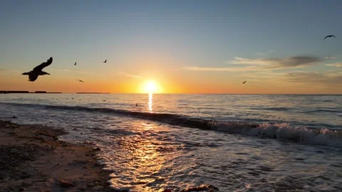 Static Sunset Surf View With Birds Over Beach Видео 336711155