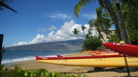 Static then dolly pull-out back outrigger canoes on tropical beach on Maui Video stock 119125726