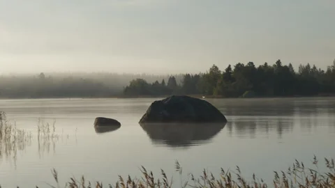 Static time lapse of lake fog in early morning, loopable 4k video Stock Footage 253365543