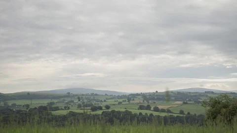 Static Timelapse of Crop Field on a Slightly Overcast Day Stock Footage 84475293