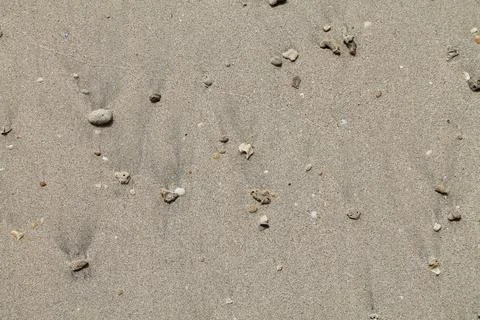 Static Top-Down Close Up of Fine Beach Sand Surface with Small Pebbles Stock Photos