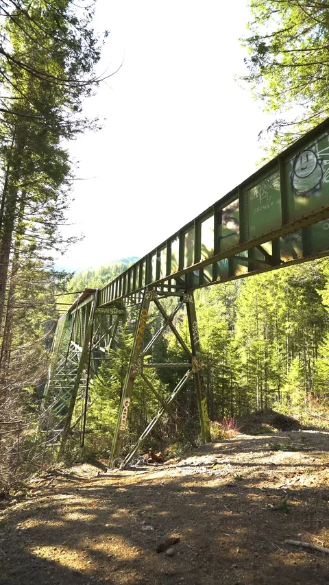 Static Vance Bridge 30sec 1 스톡 동영상 129394447