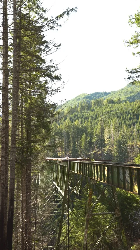 Static Vance Bridge 30sec Vertical 3 動画素材 129394480