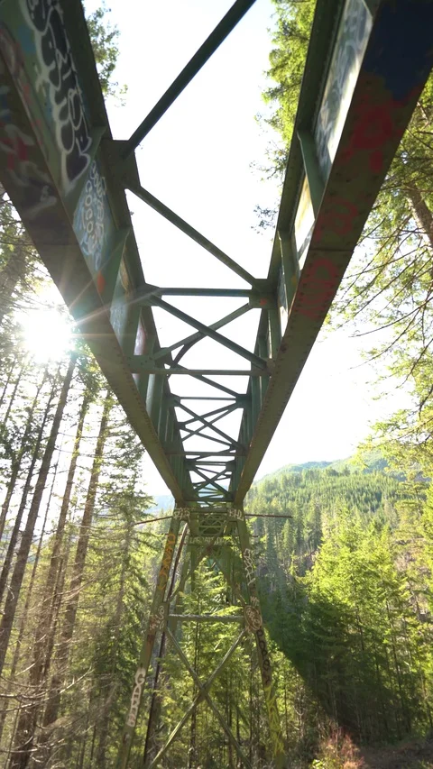 Static Vance Bridge 30sec Vertical 4 Video stock 129394519