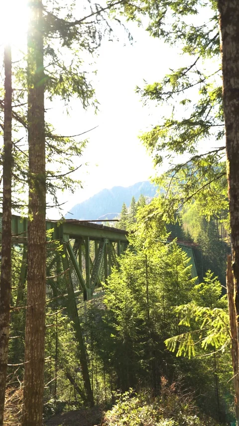 Static Vance Bridge 30sec Vertical 5 스톡 동영상 129394531