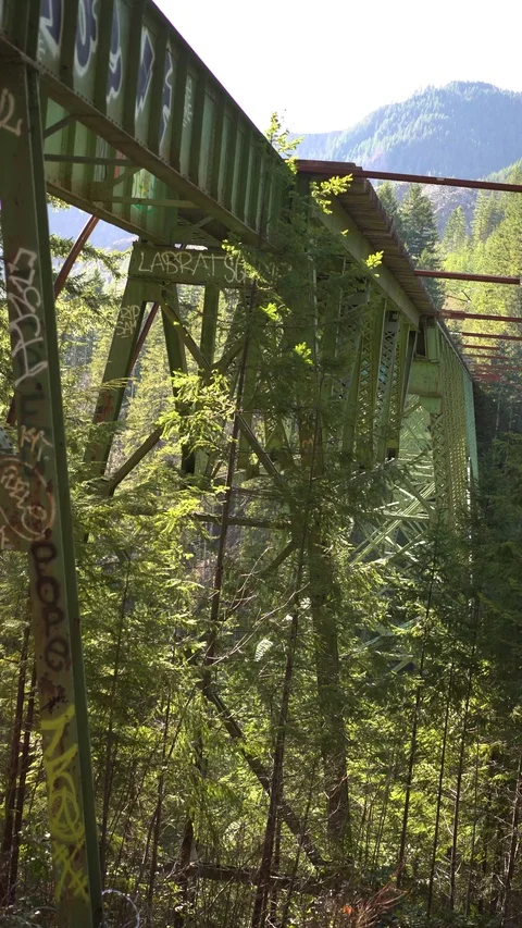 Static Vance Bridge 30sec Vertical 8 Video stock 129394580