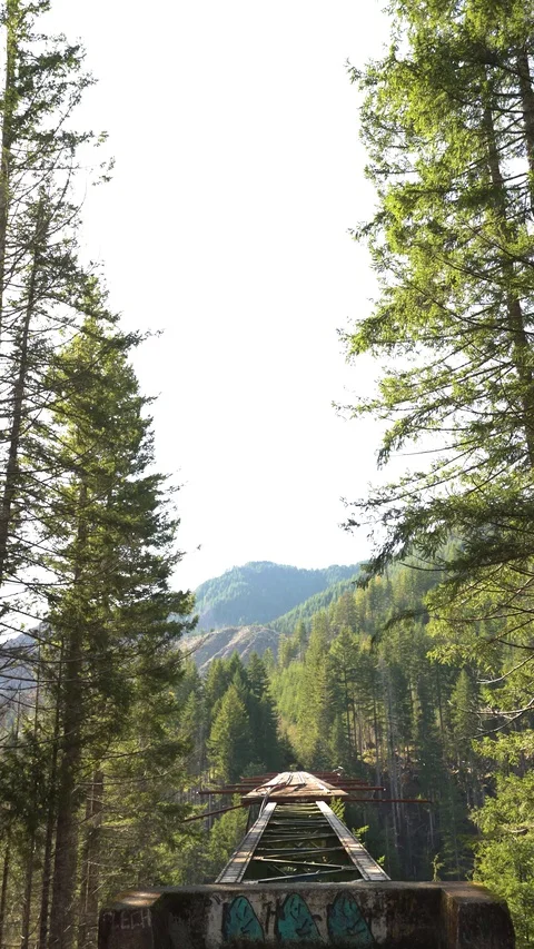 Static Vance Bridge 30sec Vertical 9 스톡 동영상 129394649