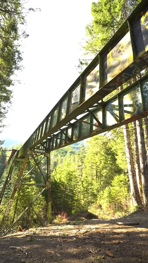 Static Vance Bridge 30sec Vertical 10 動画素材 129394658