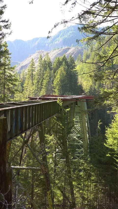 Static Vance Bridge 30sec Vertical 11 動画素材 129394666