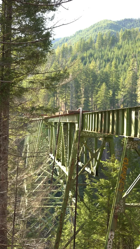 Static Vance Bridge 30sec Vertical 13 Video stock 129394712