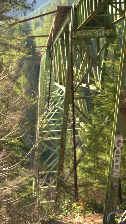 Static Vance Bridge 30sec Vertical 14 Video stock 129394768
