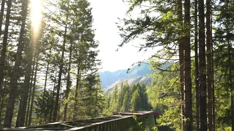 Static Vance Bridge static 30 horizontal 9 Video stock 129394882