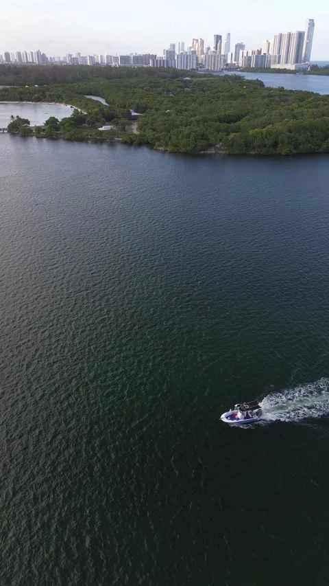 Static vertical drone shot of a boat passing through Miami bay Stock Footage 340532698