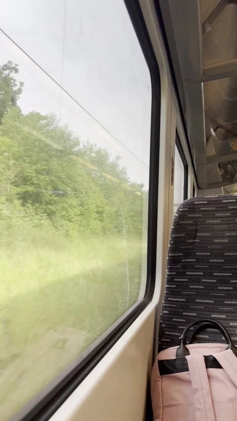 Static vertical shot of a green landscape from a fast moving train window Stock Footage 336494143