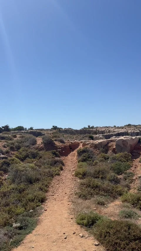 Static vertical shot of a narrow dirt path through dry grass fields Stock Footage 336333954