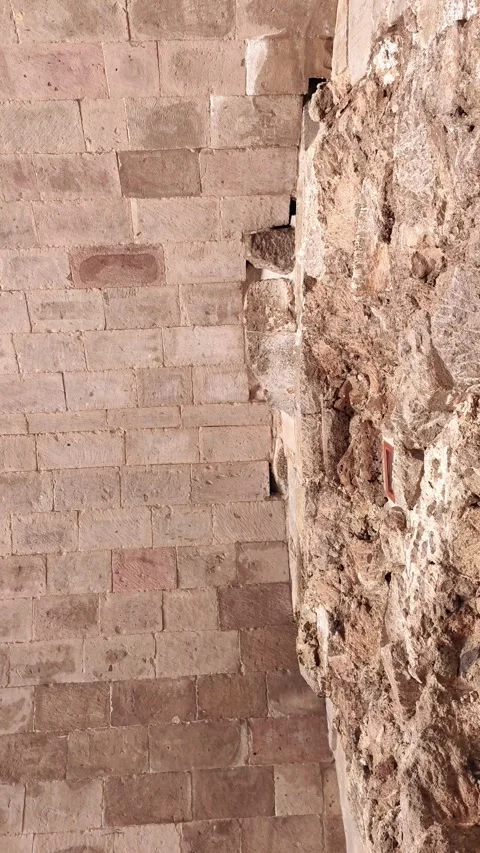 Static vertical shot showing pigeons interacting with the textured masonry of an Vídeos de archivo 334239007