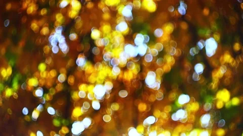 A static video of a blurred abstract natural background with defocal foliag.. Stock Footage 307093649