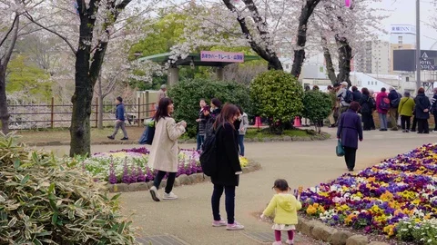 Static video of people queuing to board monorail in Asukayama park. Video stock 125807430