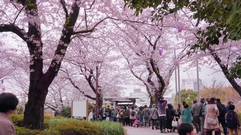 Static video of people queuing to board monorail in Asukayama park. Stock Footage 125807493