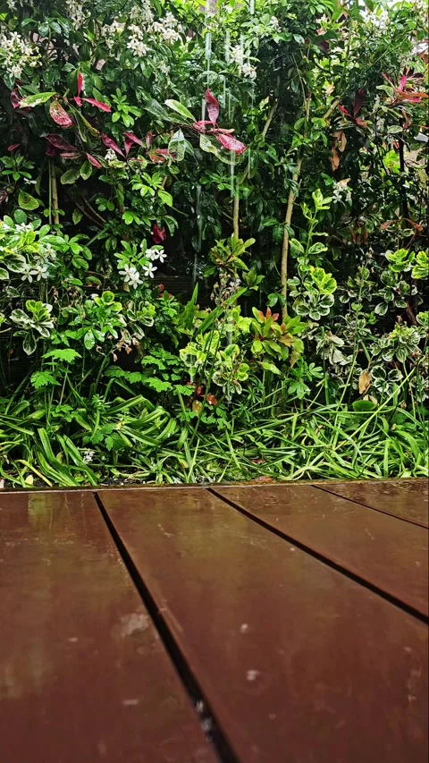 Static video of rain dripping on wet wooden decking in a blooming garden Stock Footage 336265220