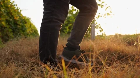 Static video of a slow-motion smooth passage of one man in dark trouser leg.. Stock Footage 338320891