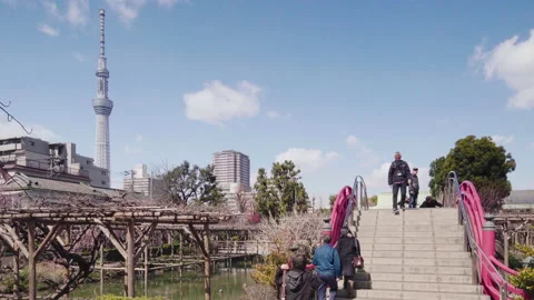 Static video of Tokyo Skytree Tower and Kameido Tenjin shrine's red Taiko bridge Video stock 129079177