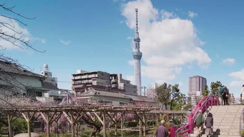 Static video of Tokyo Skytree Tower and Kameido Tenjin shrine's red Taiko bridge Stock-Footage 129150925