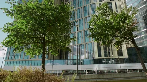 Static video of trees and part of glass facade of skyscraper taken in summer Stock Footage 169622027