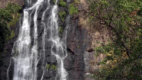 Static video waterfall stream falling down rocks and stones of mountain steep. Stock Footage 295632660