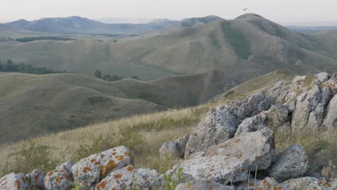Static view to bald steppe mountains. Birds fly. Orenberg, South Ural Video stock 155996594