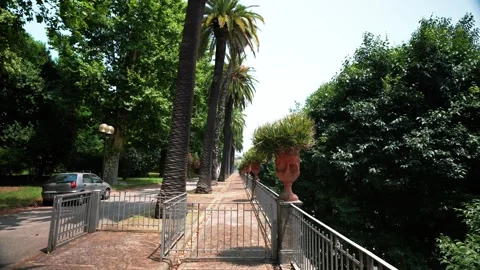 Static view of beautiful green garden in front of museum, Museo Pignatelli in Na Stock Footage 272902345