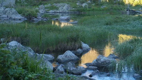 Static view to brook and forest mountain lake. Altai Video stock 103393252