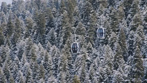 Static view cabin gondola glides over a snowy fir tree landscape at a bustl.. 스톡 동영상 318356915