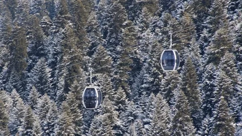 Static view cabin gondola glides over a snowy fir tree landscape at a bustl.. Stock Footage 324950362