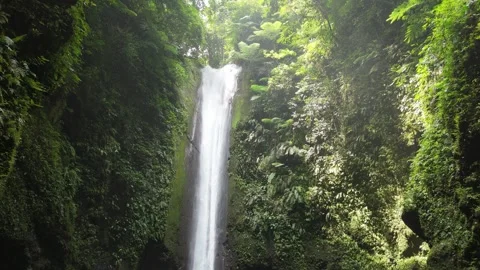 Static View of Casaroro Waterfalls with Dense Vegetation in Dumaguete Stock Footage 290375235